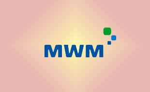 ✓ MWM 0241 2869 Запчасть MWM 